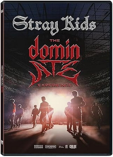 Stray Kids: The dominATE Experience