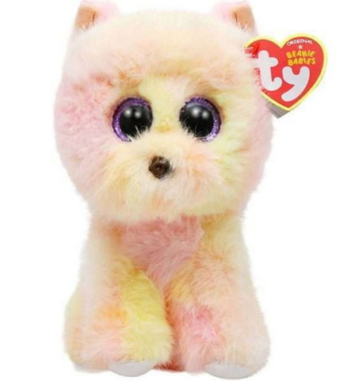 Chien Pomeramien jaune Palmer petit
