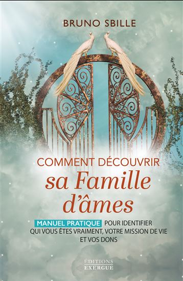 Comment découvrir sa famille d'âmes ? : manuel pratique pour identifier qui vous êtes vraiment, votre mission de vie et vos dons - BRUNO SBILLE