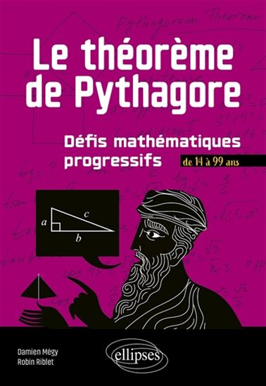 Le Théorème de Pythagore : défis mathématiques progressifs : de 14 à 99 ans - DAMIEN MÉGY - ROBIN RIBLET