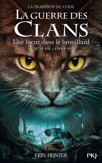 La Trahison du code #06 Une lueur dans la brume - ERIN HUNTER