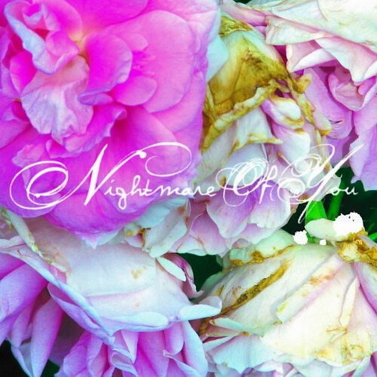 Nightmare Of You (Vinyle) - NIGHTMARE OF YOU