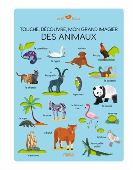 Touche, découvre, mon grand imagier des animaux - CLAIRE WORTEMANN