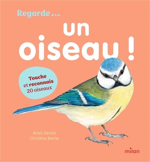 Regarde... un oiseau ! : touche et reconnais 20 oiseaux - ANYA SEROTA - CHRISTINE BERRIE