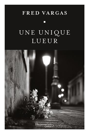 Une unique lueur - FRED VARGAS