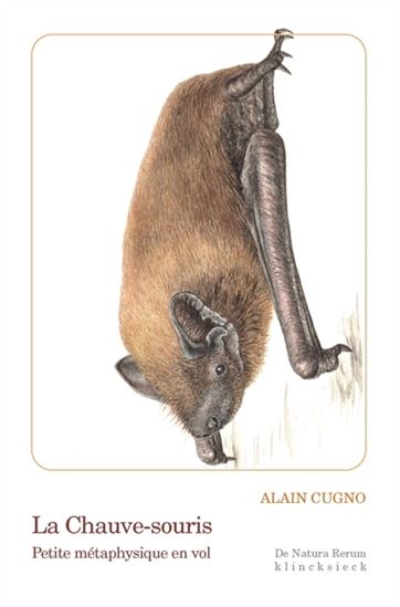 La Chauve-souris : petite métaphysique en vol - ALAIN CUGNO - VANESSA DAMIANTHE