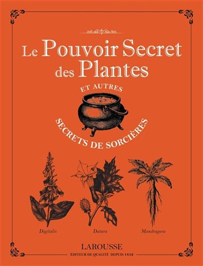 Le Pouvoir secret des plantes et autres secrets de sorcières - MICHEL VIARD