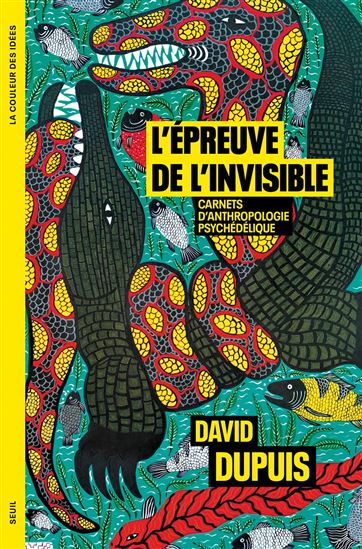 L'Épreuve de l'invisible - DAVID DUPUIS