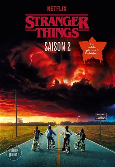 Stranger things Saison 2 - MATTHEW J GILBERT