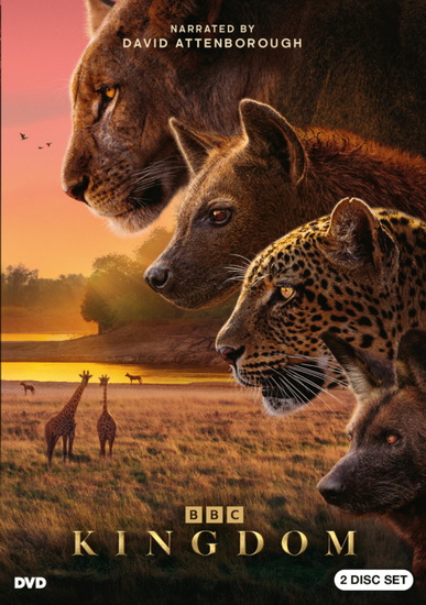 Kingdom