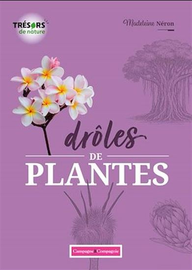 Drôles de plantes - MADELEINE NÉRON