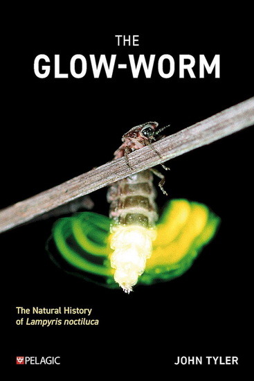 The Glow-worm - JOHN TYLER