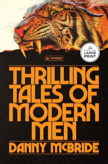 Thrilling Tales of Modern Men: Stories - DANNY MCBRIDE