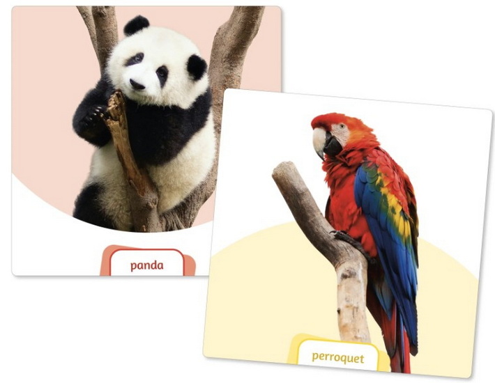 Le dés des premiers mots extension Animaux