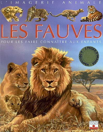 Les Fauves - E BEAUMONT - G FALESCHINI