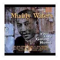Feel Like Going Home - WATERS MUDDY