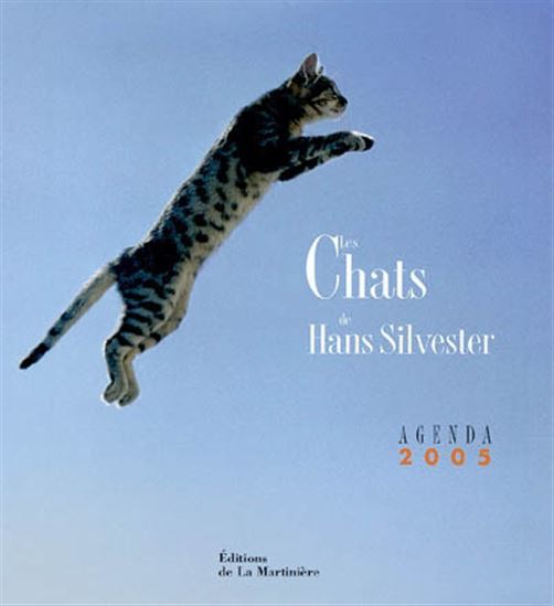 Chats - COLLECTIF