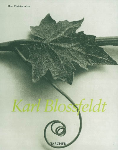 Karl Blossfeldt - HANS CHRISTIAN ADAM
