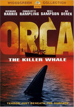 Orca the killer whale - ANDERSON MICHAEL