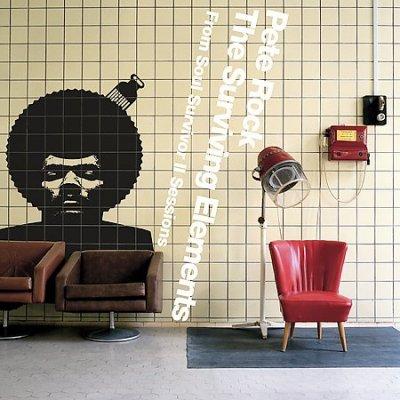 The Surviving Elements - ROCK PETE