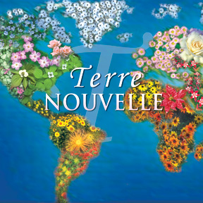 Terre nouvelle - MICHELINE ALLAIRE - ALAIN LEMAY