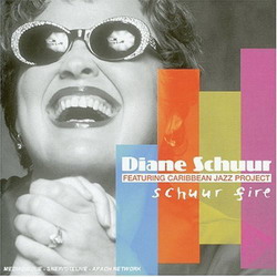 Schuur Fire - SCHUUR DIANE