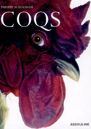Coqs - PHILIPPE SCHLIENGER