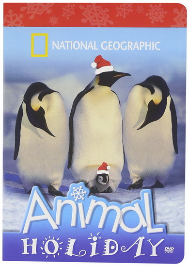 Animal holiday (full) - NATIONAL GEOGRAPHIC