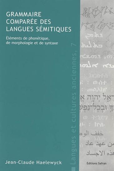Grammaire comparée des langues - Jean-Claude Haelewyck