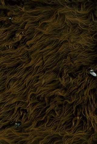 TROLLS DE TROY INTEGRALE 1 A 8 - Christophe Arleston - Jean-Louis Mourier