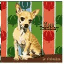 Le Chihuahua - TREMBLAY MARA