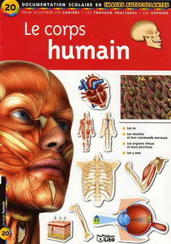 Le Corps humain - COLLECTIF