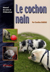 Le Cochon nain - CAROLINE DUBOIS