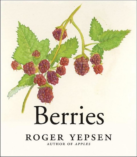 Berries - ROGER YEPSEN
