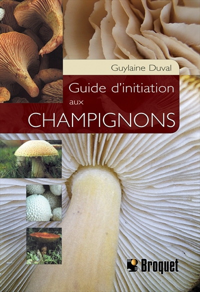 Guide d'initiation aux champignons sauvages du Québec