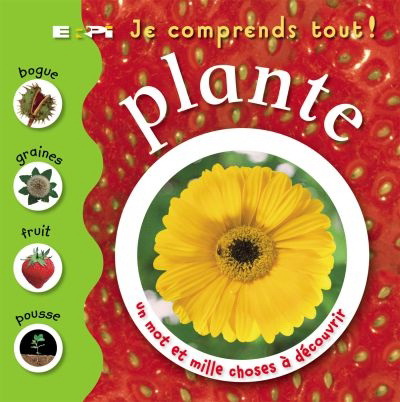 Plante - COLLECTIF