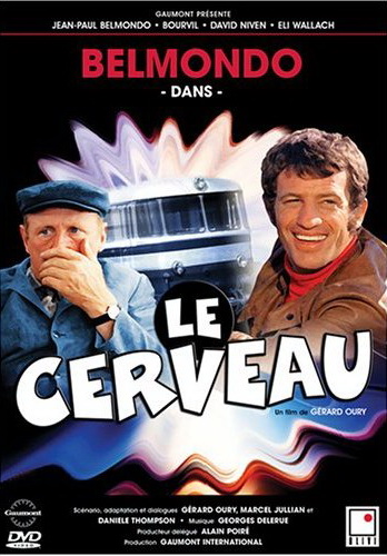 Le Cerveau - OURY GERARD