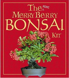 The Mini merry berry bonsai kit - ROBERT KING