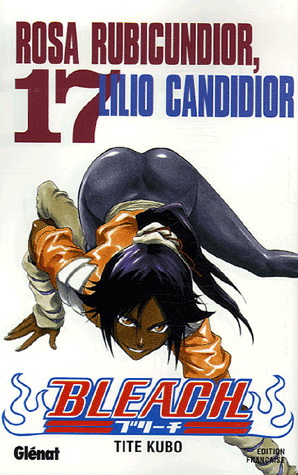 Bleach #17 - TITE KUBO