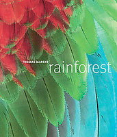 Rainforest - THOMAS MARENT