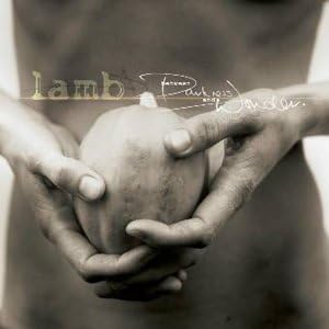 Between Darkness And Wonder (Vinyl) - LAMB