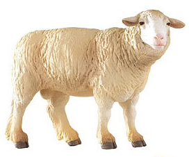 Fig. Mouton Merinos - 