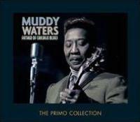 Father of Chicago Blues (2CD) - WATERS MUDDY