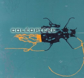 Coléoptère - COLEOPTERE