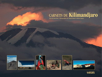 Carnets du Kilimandjaro - JEAN DESY