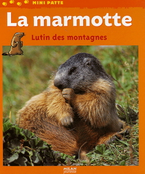 La Marmotte, lutin des montagnes - VALERIE TRACQUI