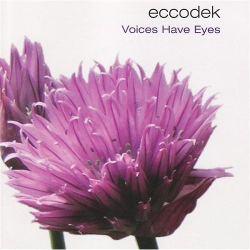Voices have eyes - ECCODEK