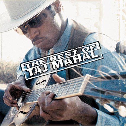 Best of Taj Mahal - TAJ MAHAL