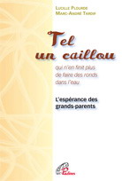 Tel un caillou qui n'en finit plus de... - LUCILLE PLOURDE - MARC-ANDRE TARDIF