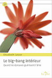 Le Big Bang intérieur - ELIZABETH LESSER